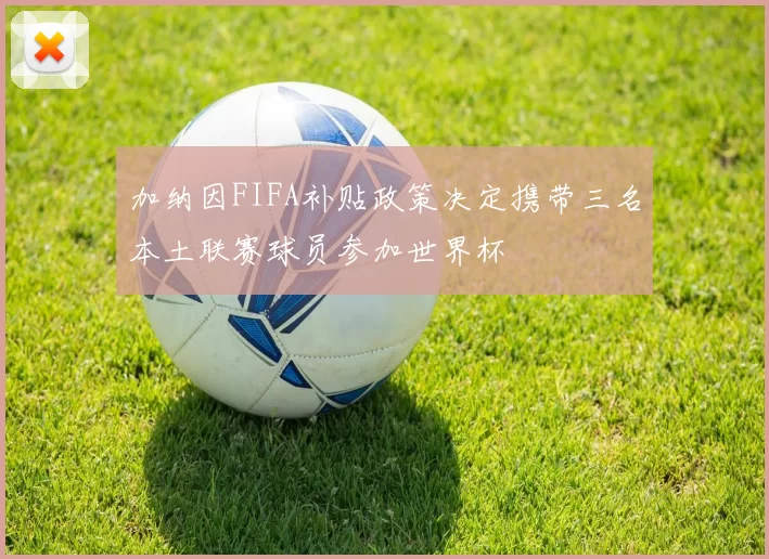加纳因FIFA补贴政策决定携带三名本土联赛球员参加世界杯